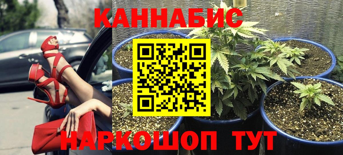 Карачаевск  Шишки марихуана OG Kush  Вход с VPN  Шишки марихуана SATIVA & INDICA  Шишки марихуана индика 